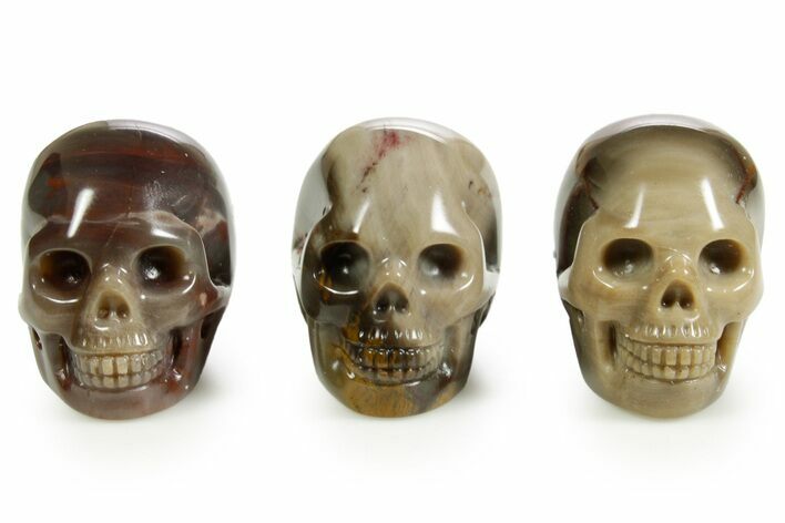 1.5" Polished Petrified Wood Skulls - Photo 1